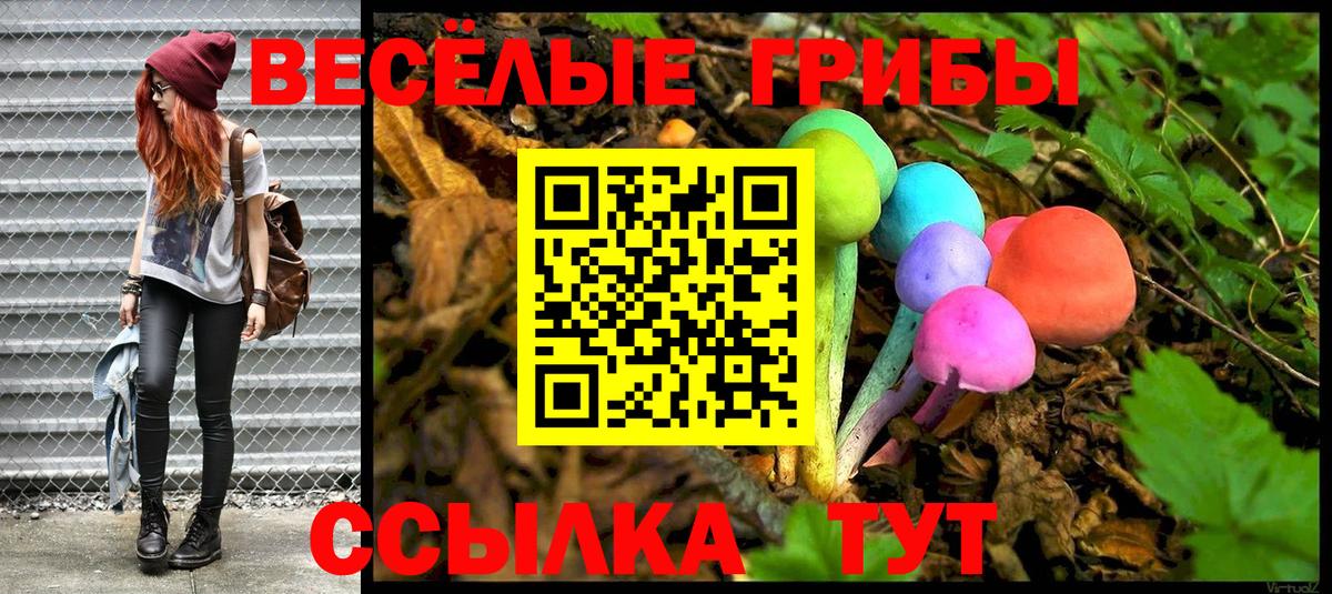 хочу   Вход с VPN  Куйбышев  Псилоцибиновые грибы Psilocybe 